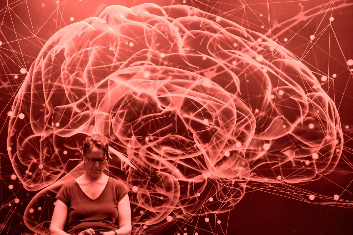 Build Your First Neural Network Code Example from Scratch (No Frameworks Needed)